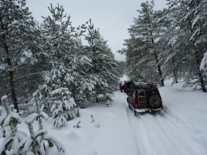 Итоги Клубной Масленицы 2012